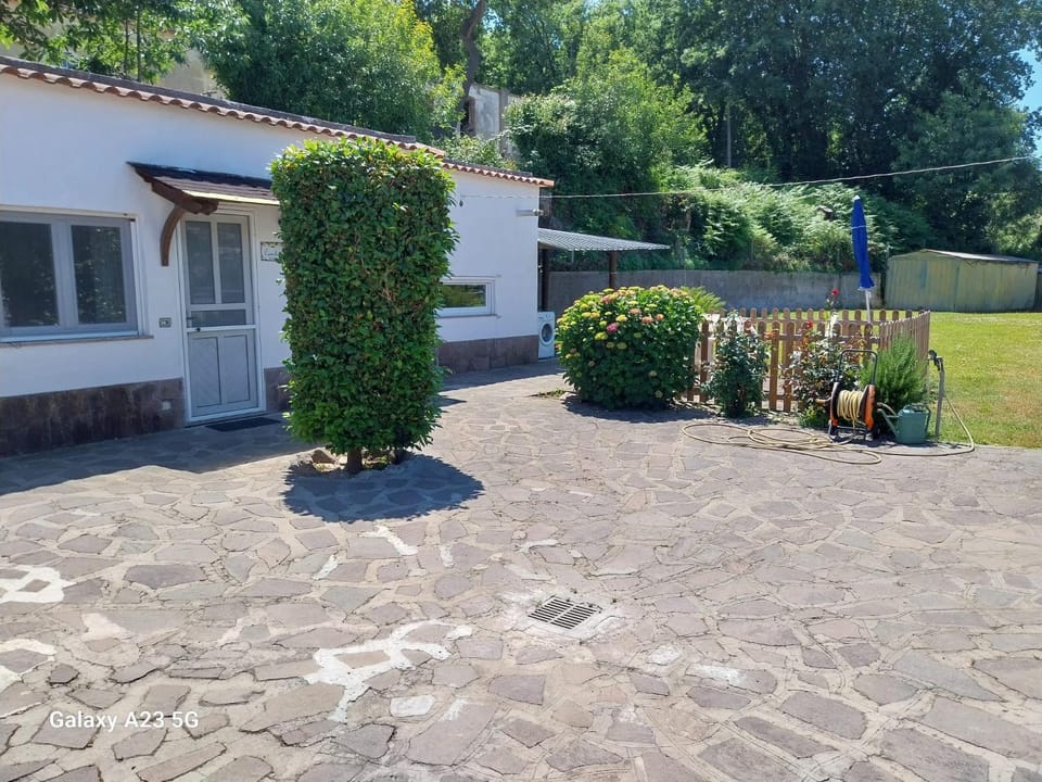 Property building, Spring, Day, Garden, Garden view