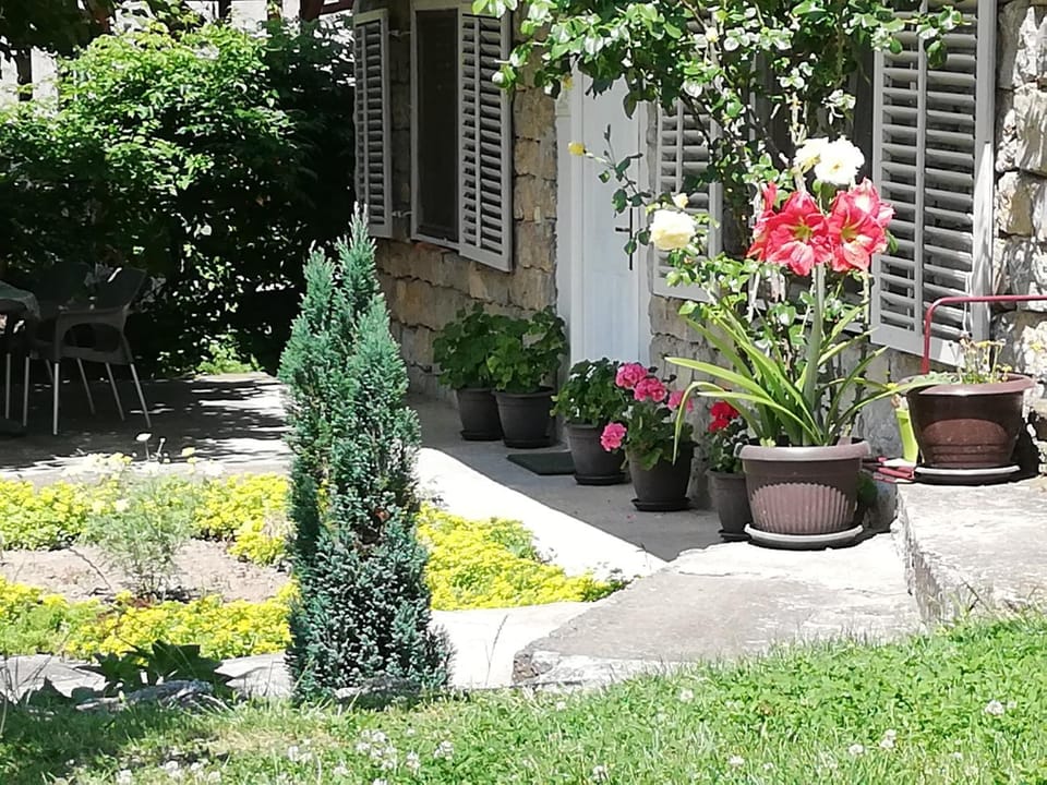 Apartment Jazz Apartment in Serbia