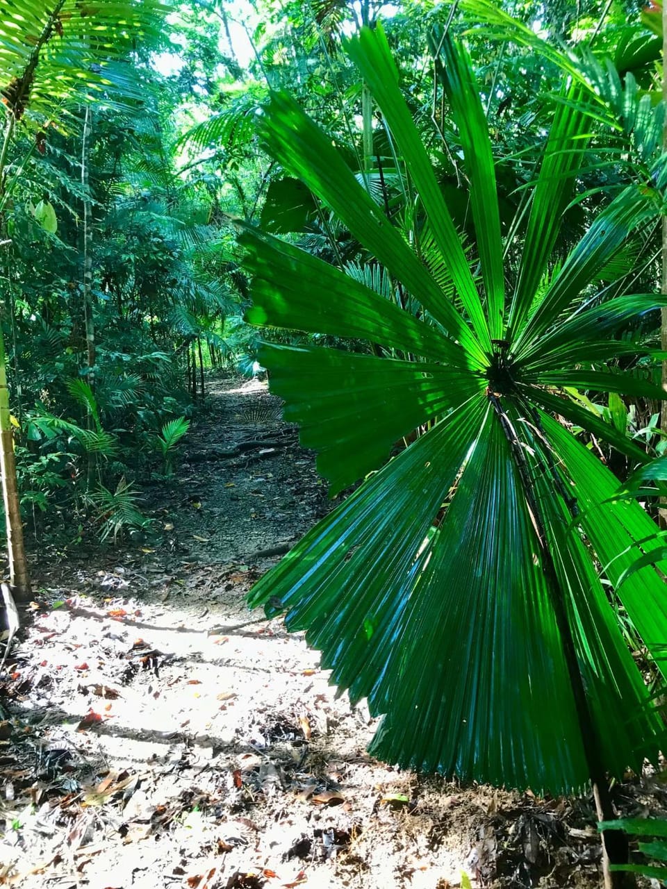 Natural landscape, Garden, Hiking