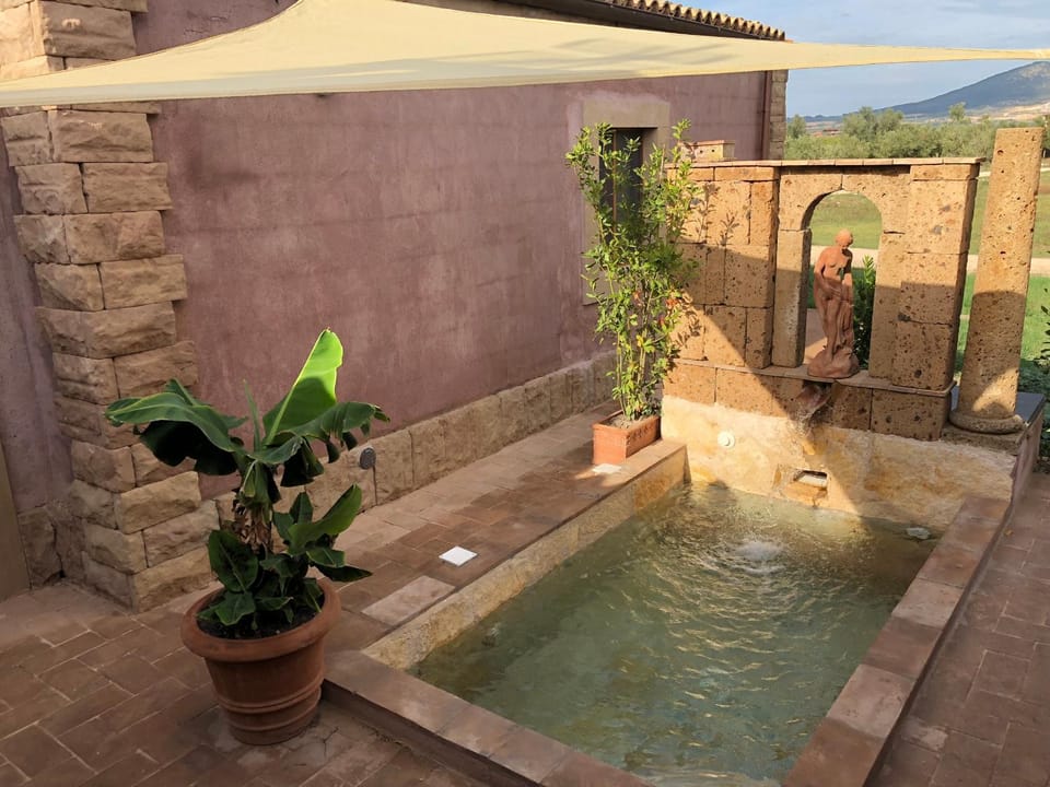 Garden, Hot Tub, Swimming pool, Open Air Bath