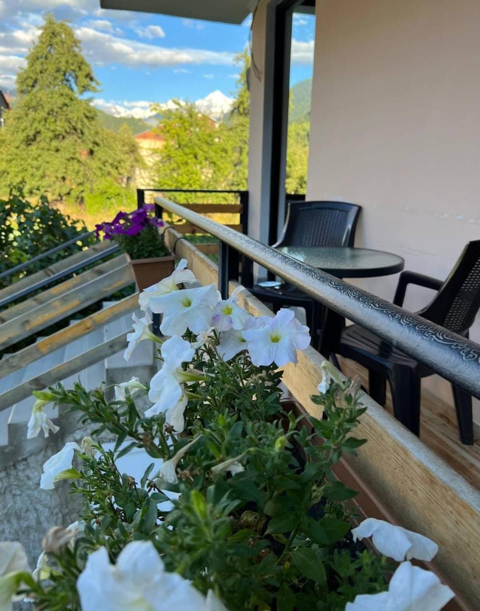 Property building, Balcony/Terrace, Balcony/Terrace