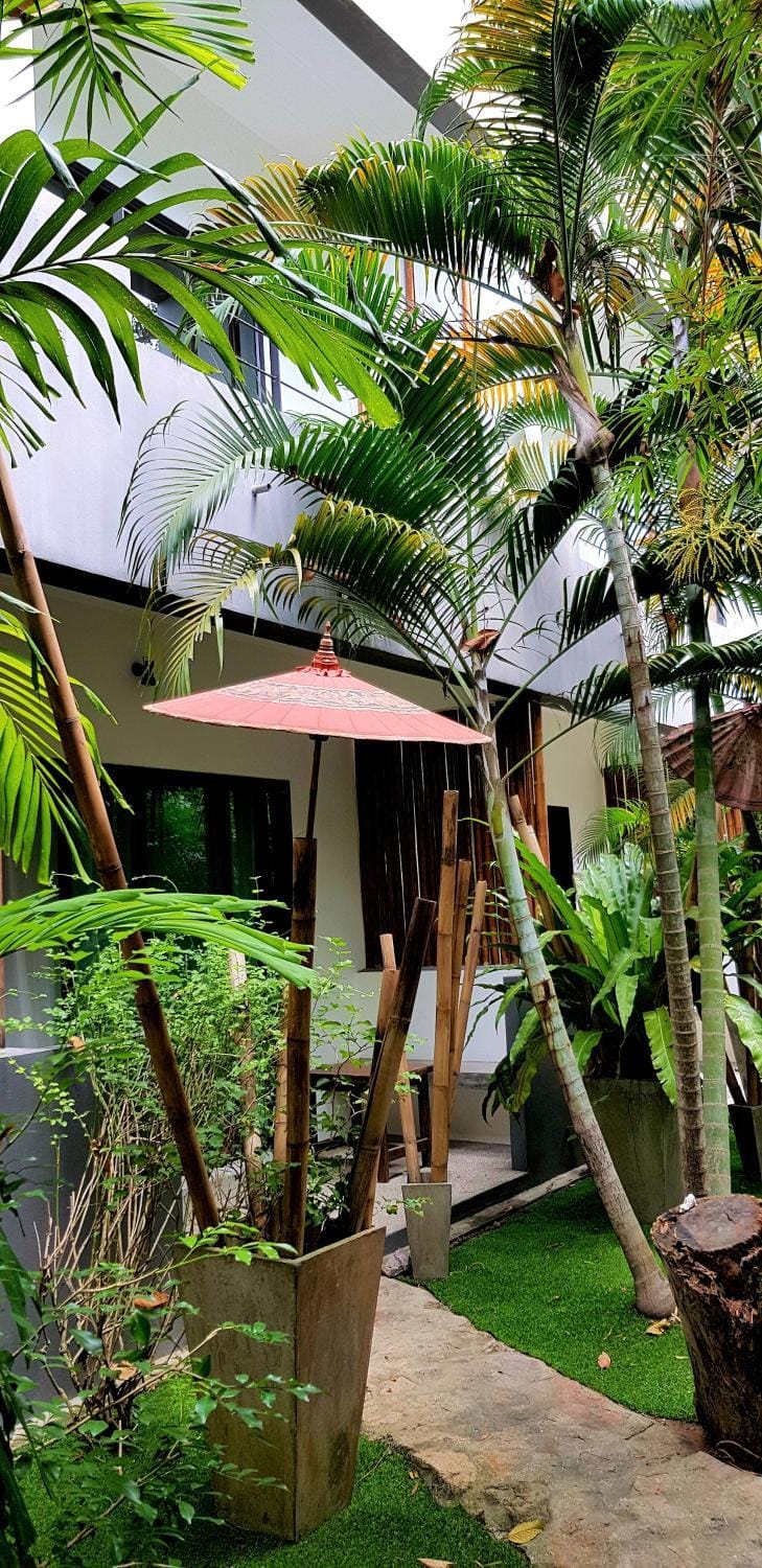 Garden view
