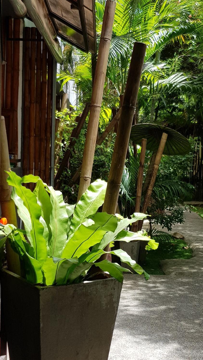 Garden, Garden view