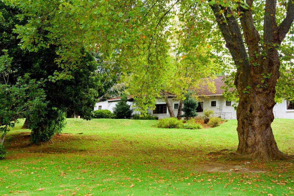 Spring, Garden, Garden view