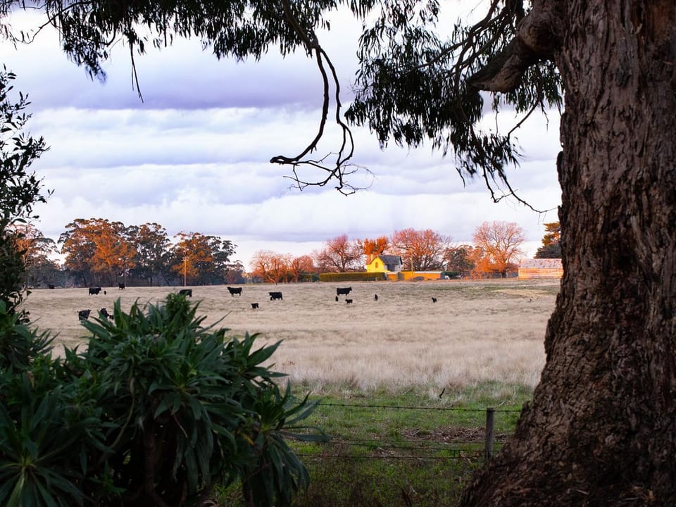 Natural landscape
