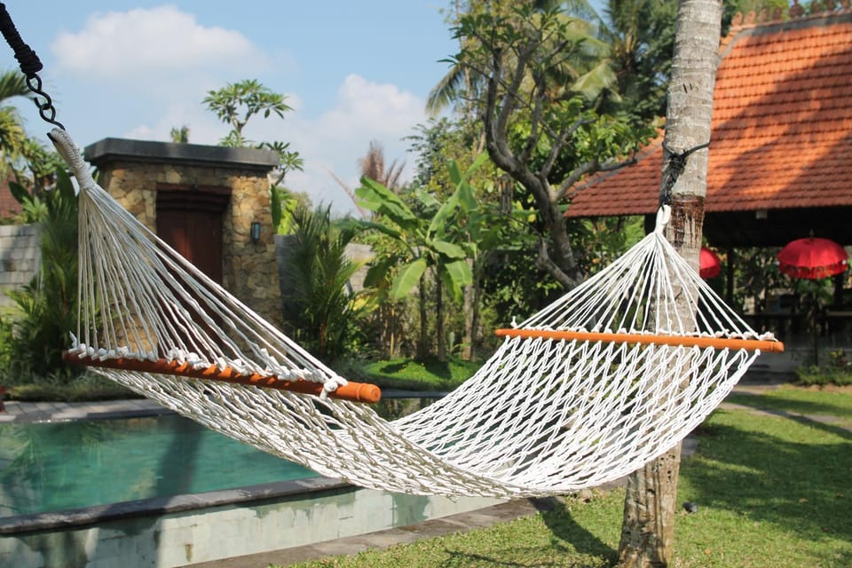 Garden, Swimming pool