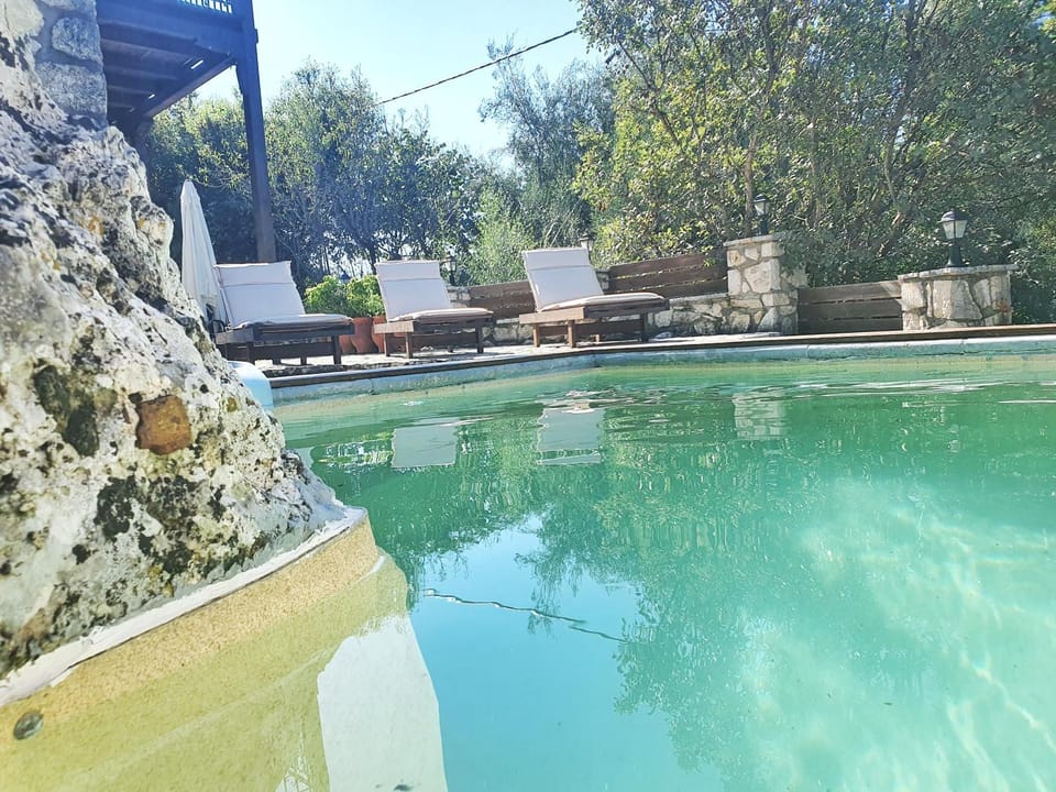 Area and facilities, Swimming pool, Swimming pool