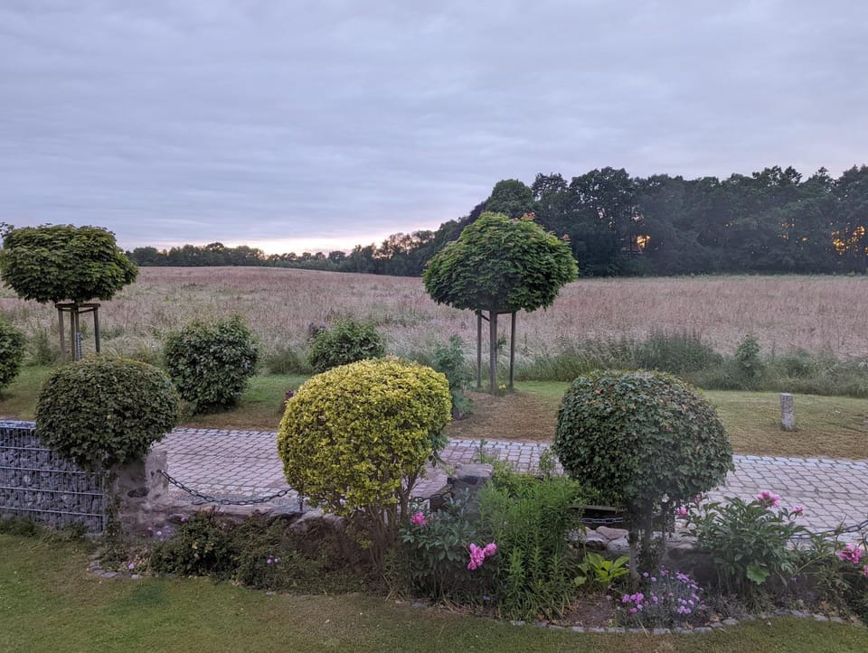 View (from property/room)
