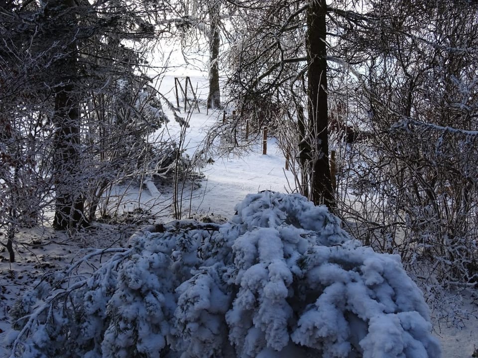 Natural landscape