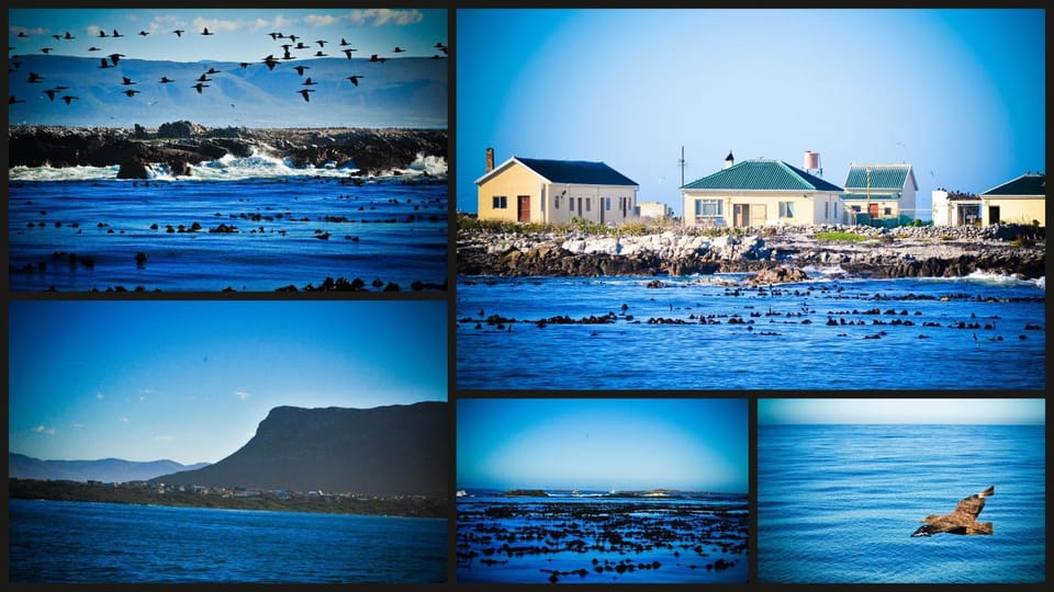 Property building, Animals, Sea view