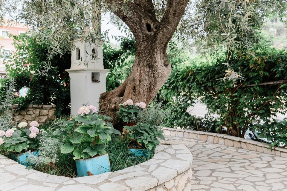 Spring, Day, Natural landscape, Garden, Garden view