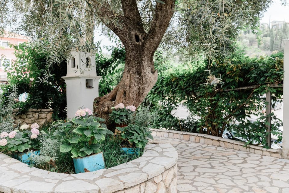 Spring, Day, Natural landscape, Garden, Garden view
