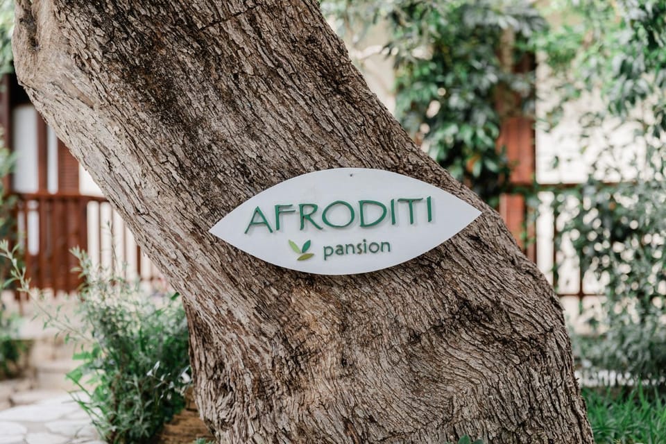 Spring, Property logo or sign, Natural landscape, Garden, Logo/Certificate/Sign, Street view