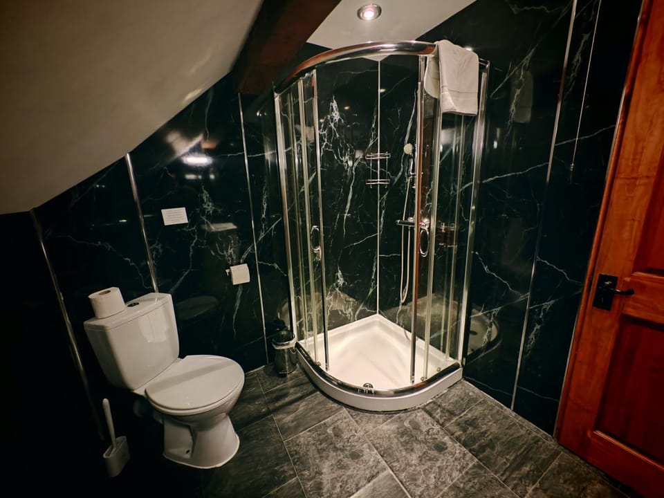 Shower, Toilet, Bathroom, towels