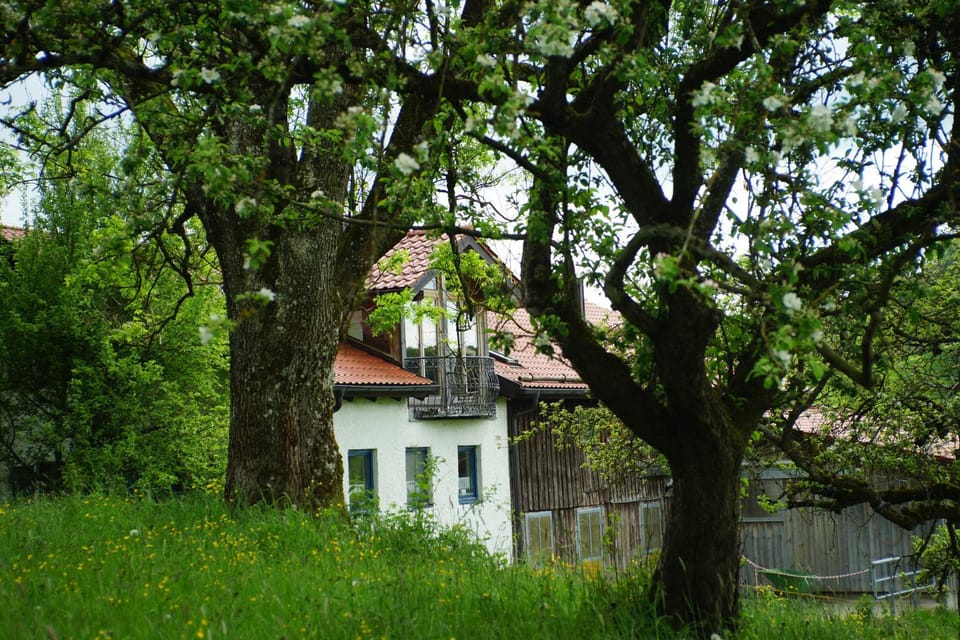 Property building, Spring, Day, Garden, Garden view