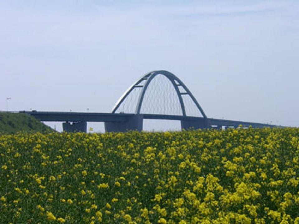 Urlaub bei Familie Lasch Apartment in Ostholstein