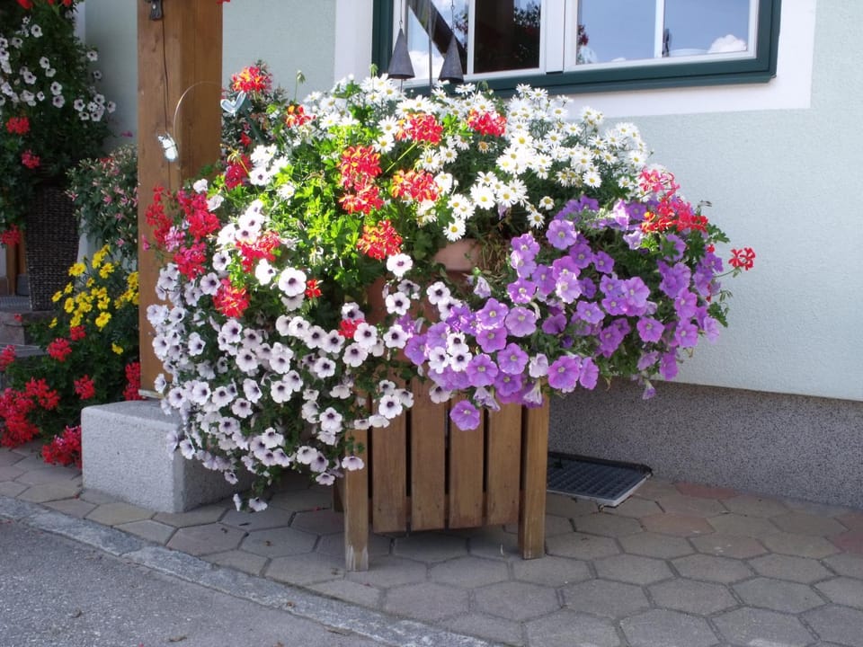 Summer, Other