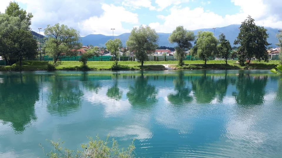 Day, Neighbourhood, Natural landscape, Summer, Fishing, Garden, Beach, Beach, Diving, On site, River view