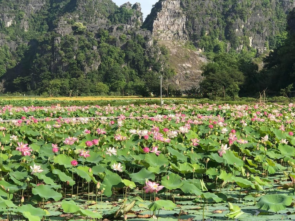 Tam Coc - Thành Homestay Hotel in Laos