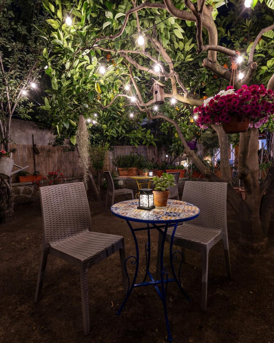 Patio, Spring, Night, Garden, Garden view