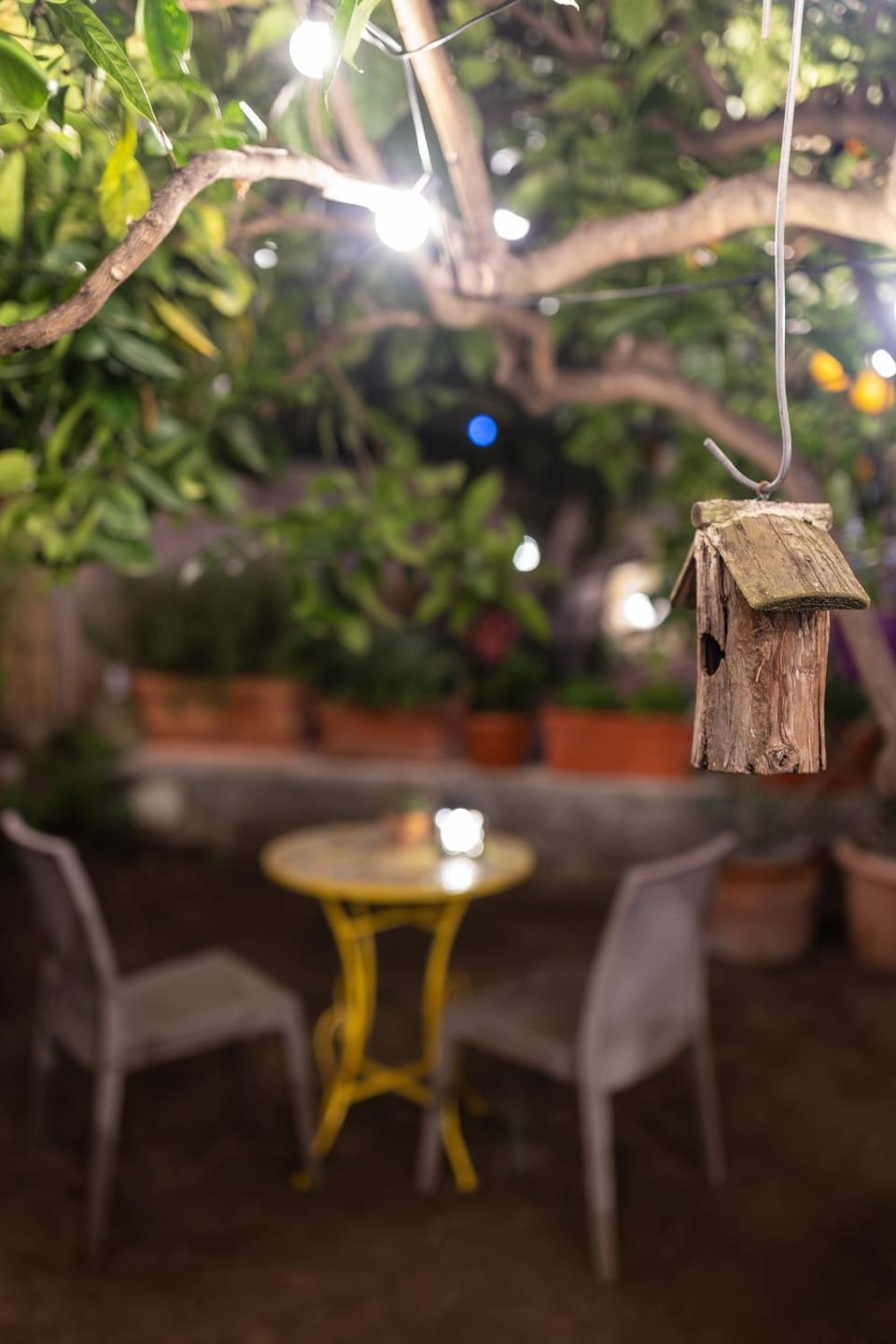 Patio, Night, Garden, Garden view