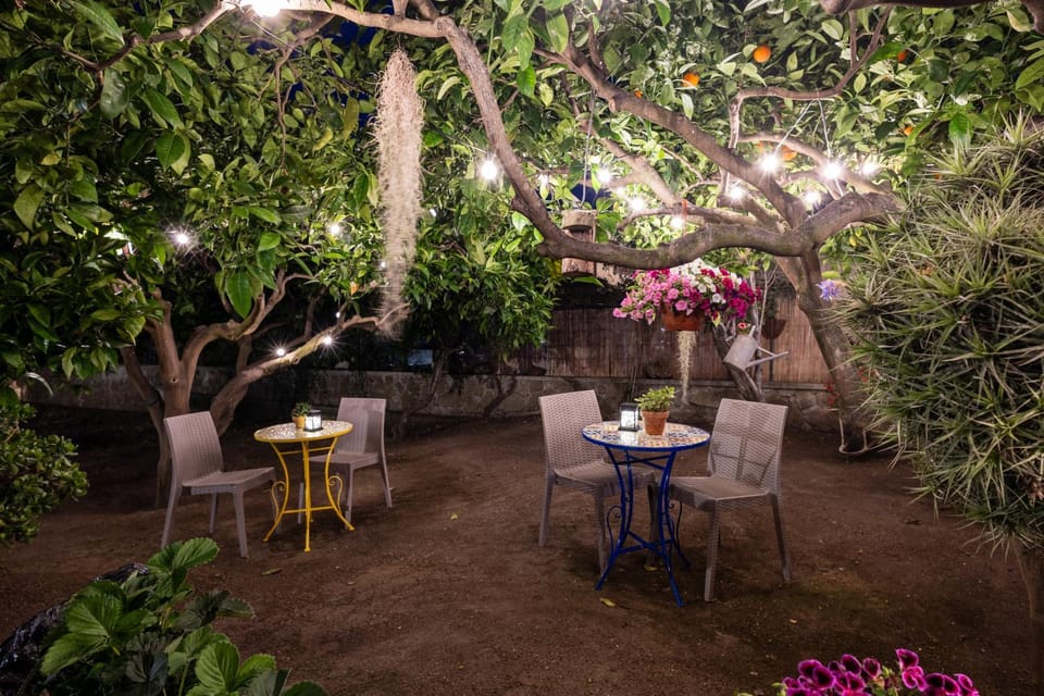 Patio, Spring, Night, Garden