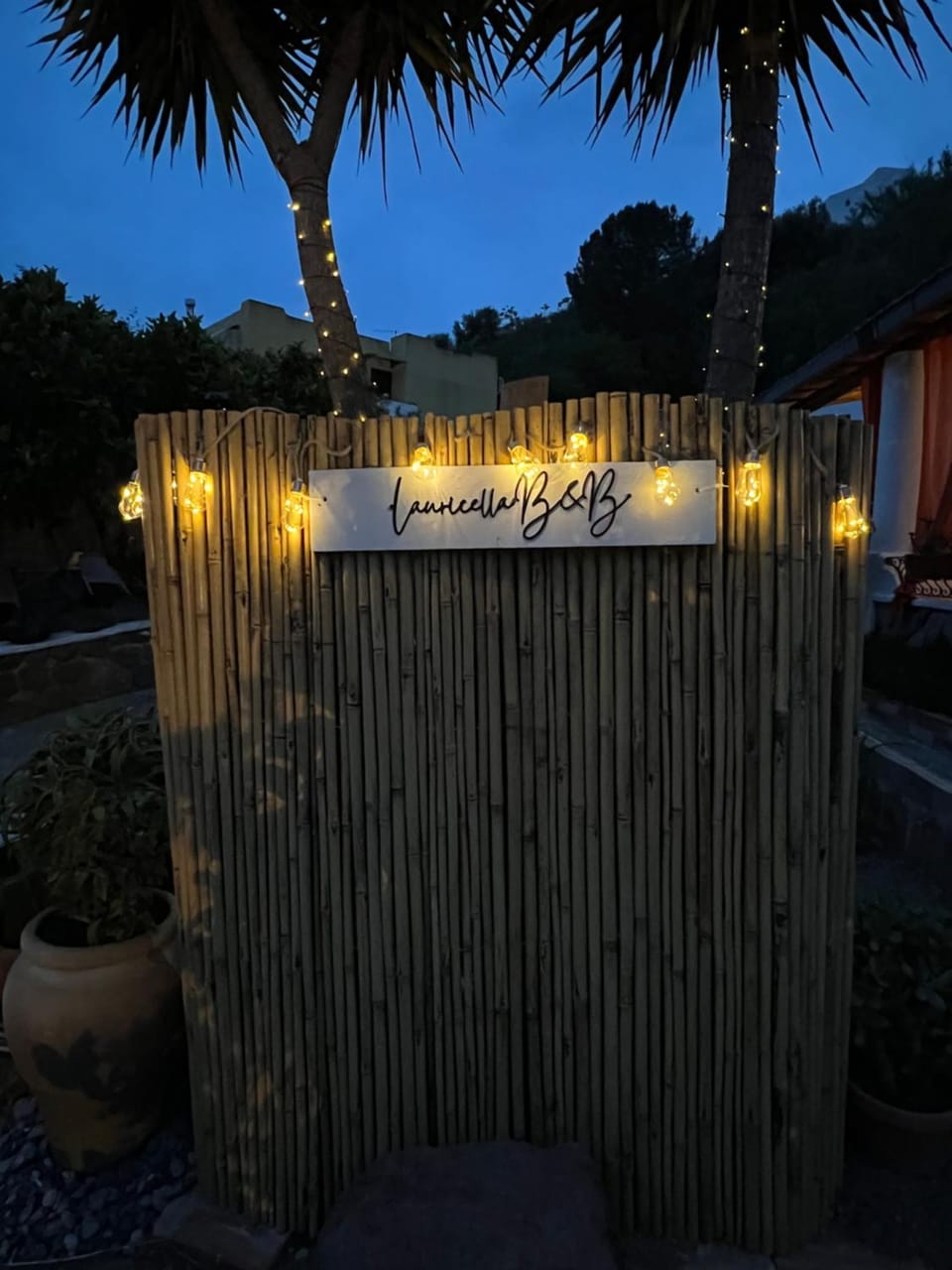 Night, Garden