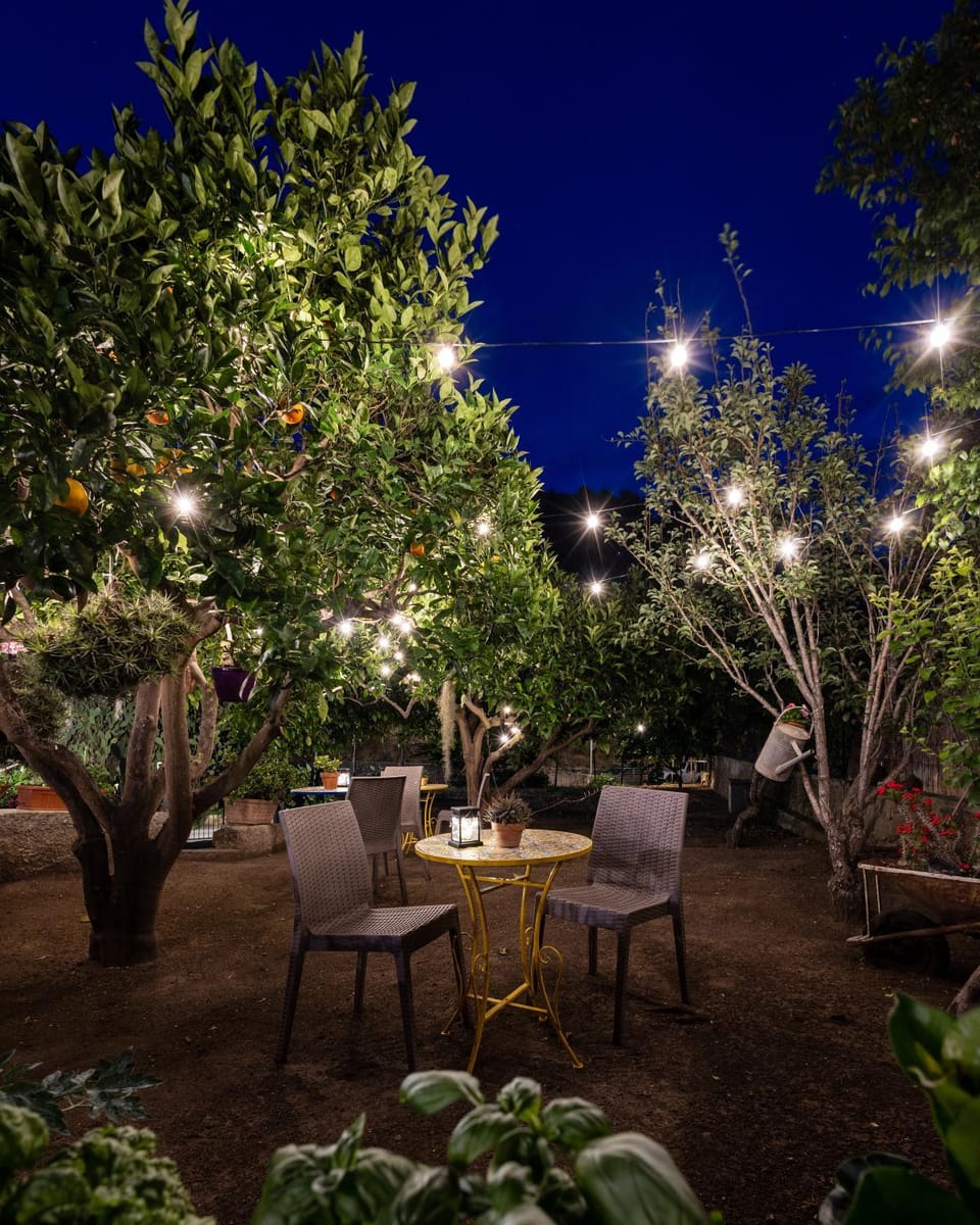 Patio, Night, Garden, Garden view