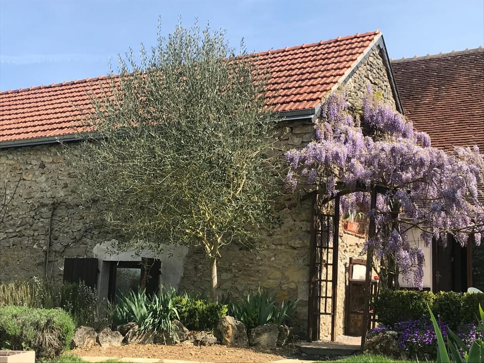 Property building, Spring, Day, Garden, Garden view