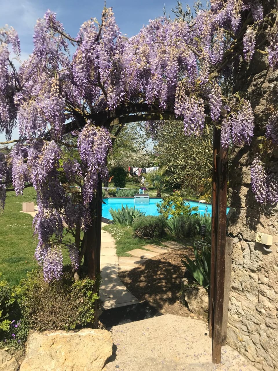 Spring, Day, Natural landscape, Garden, Garden view, Pool view, Swimming pool, Swimming pool