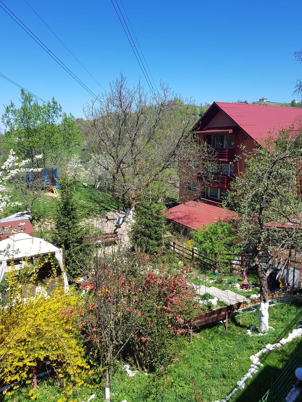 Activities, Garden, Garden view, Entertainment