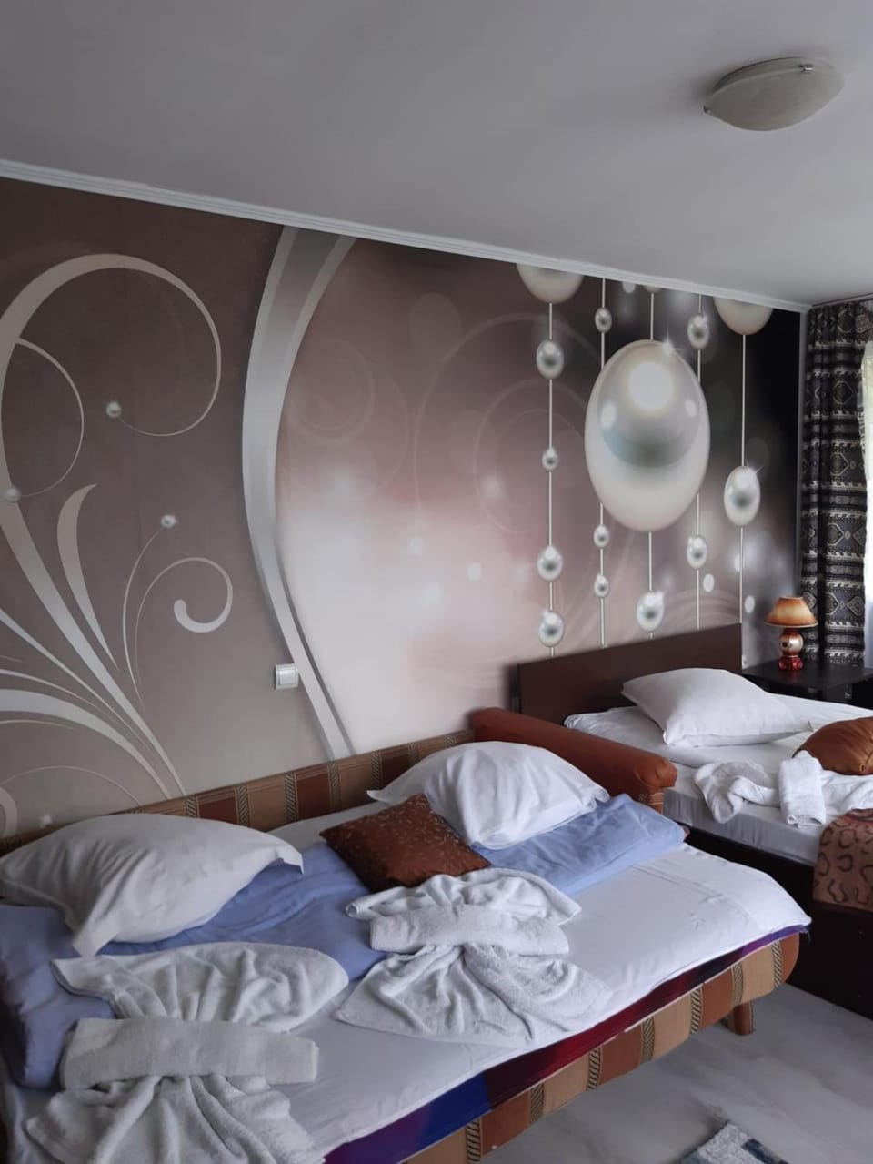 Pension Bran Ioana& SPA Bed and Breakfast in Bran