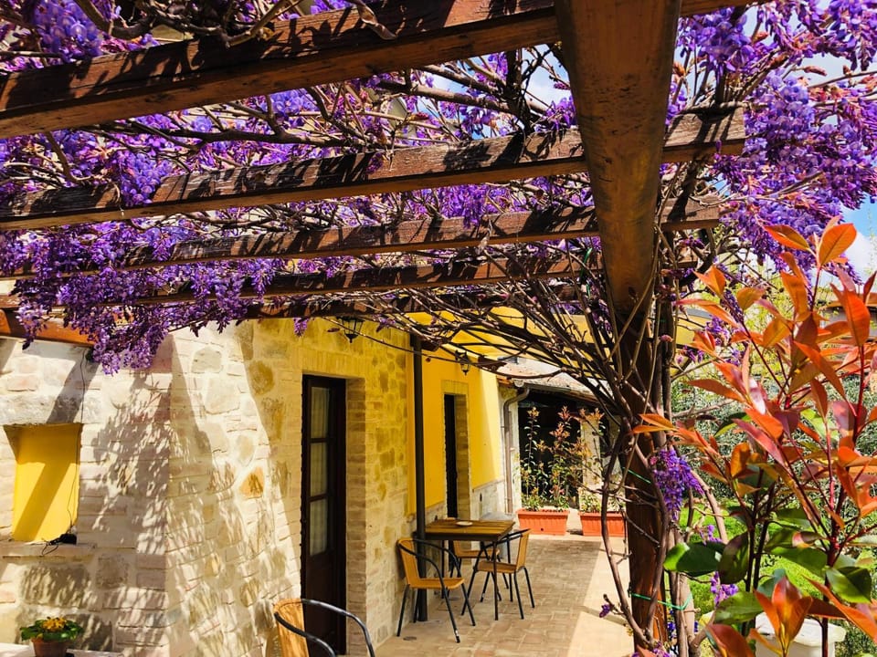 Garden, Garden view, Inner courtyard view