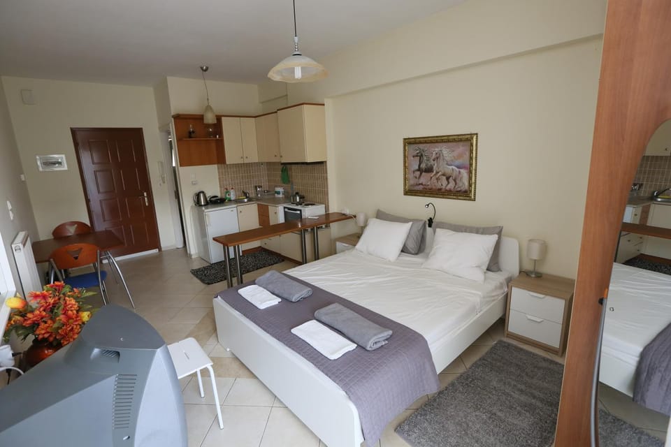 Studio B1 Apartment in Ioannina