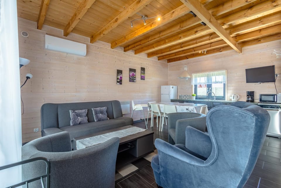 Communal lounge/ TV room, Living room, Seating area, Dining area, air conditioner