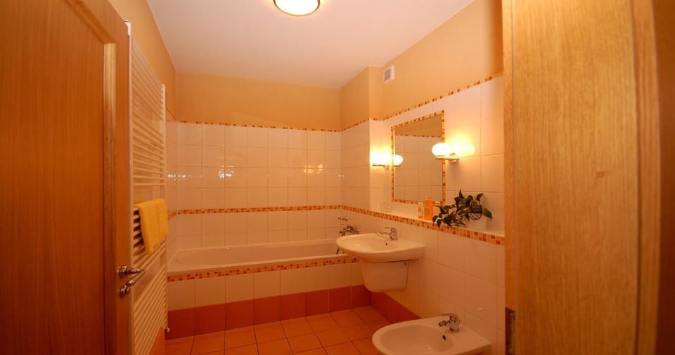 Toilet, Bathroom, Bath, bidet