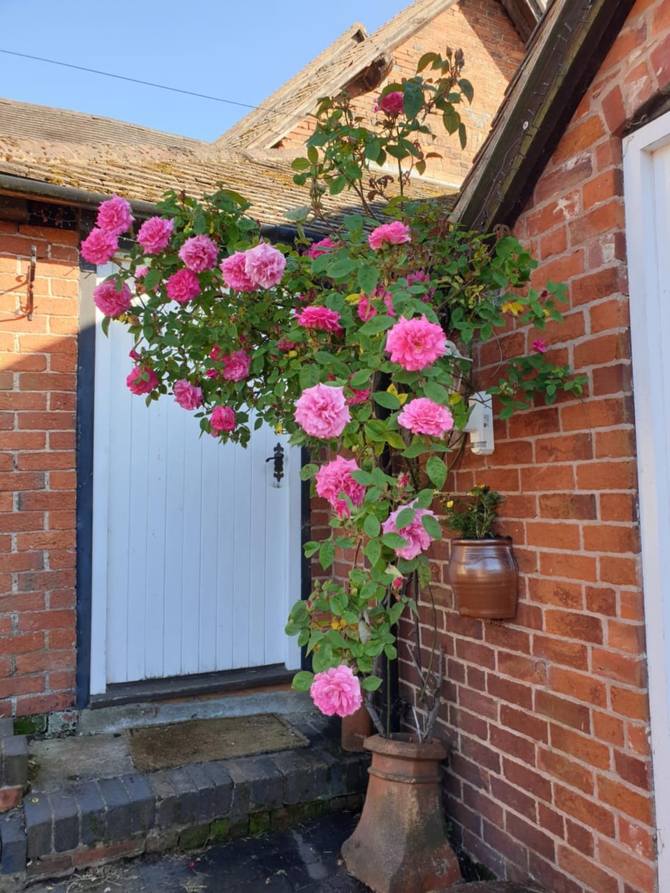 Spring, Day, Garden, Garden view