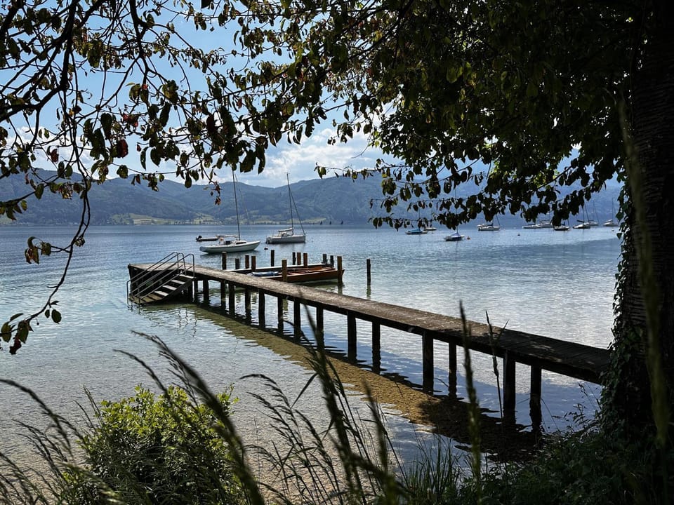 Garden, Beach