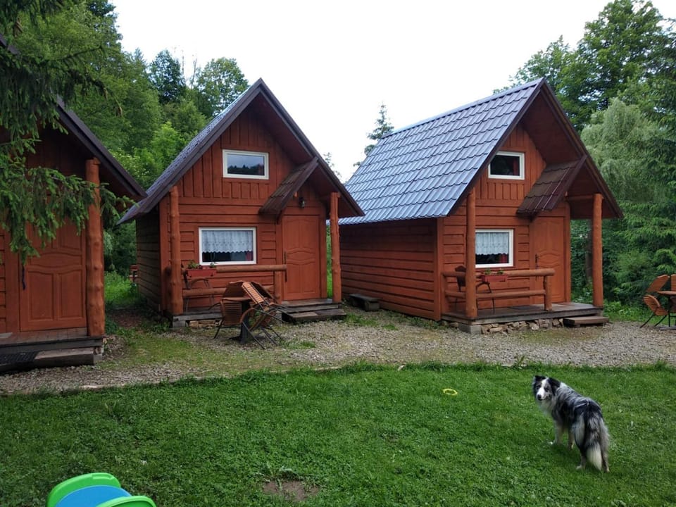 Domki Góralskie przy Karczmie Szlachtowa Nature lodge in Lesser Poland Voivodeship