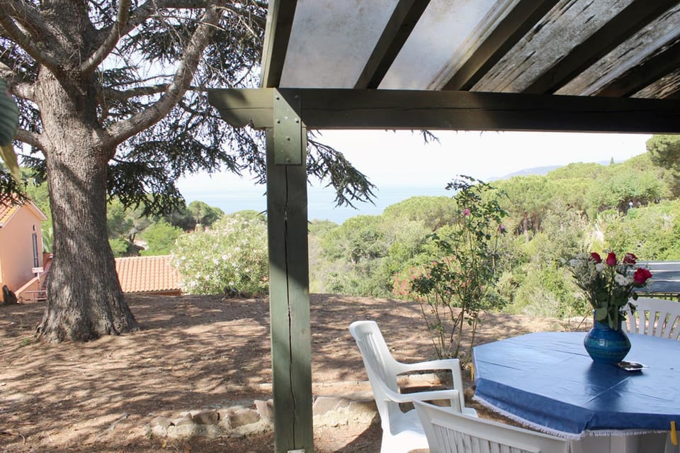 Villa Cedro Villa in Capoliveri