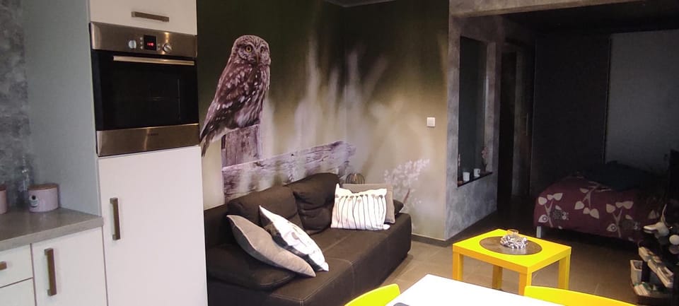 Studio gîte Eul Cat Huant House in Flanders