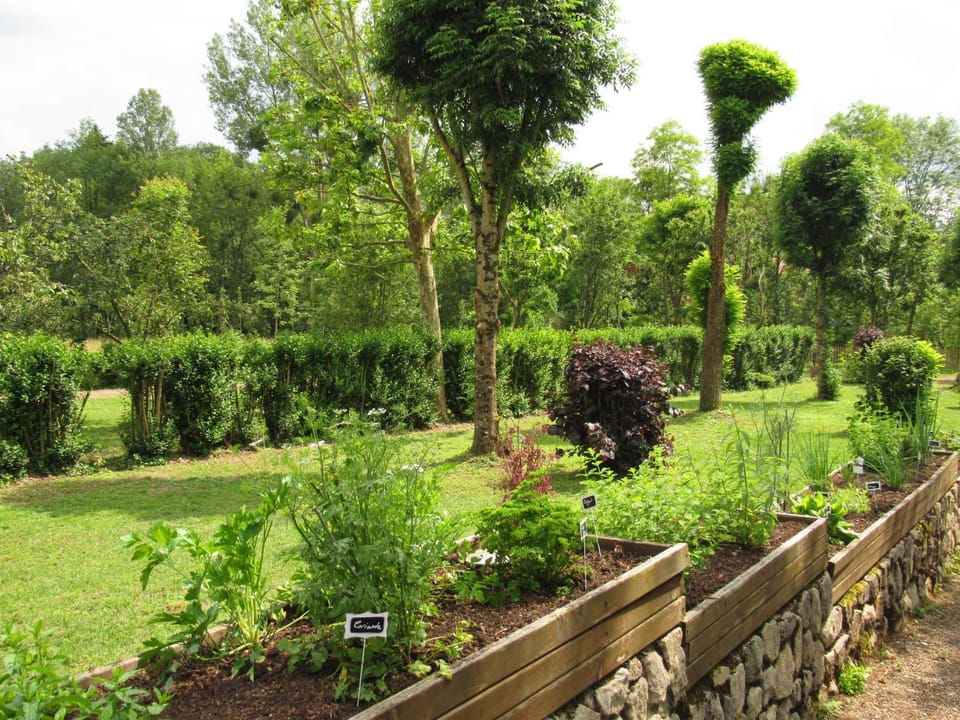 Garden, Garden view