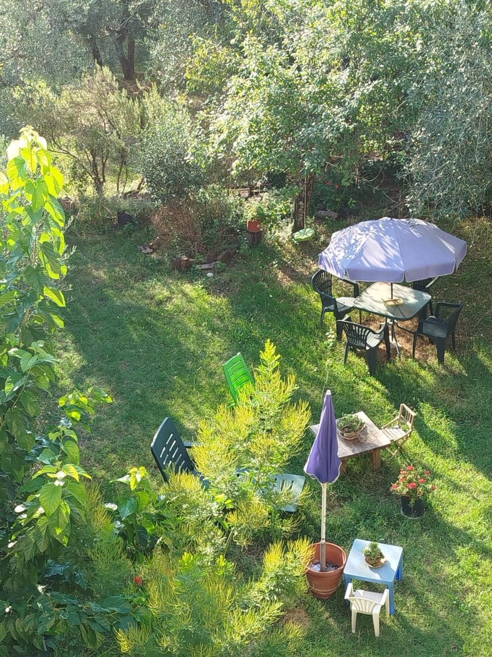 Day, Natural landscape, BBQ facilities, Children play ground, Garden, Garden view