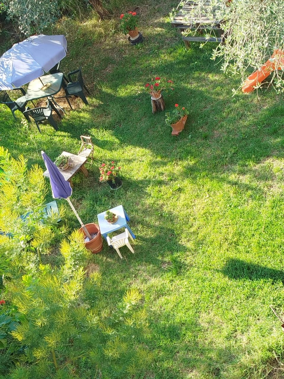 Day, Natural landscape, Children play ground, Garden, Garden view, sunbed