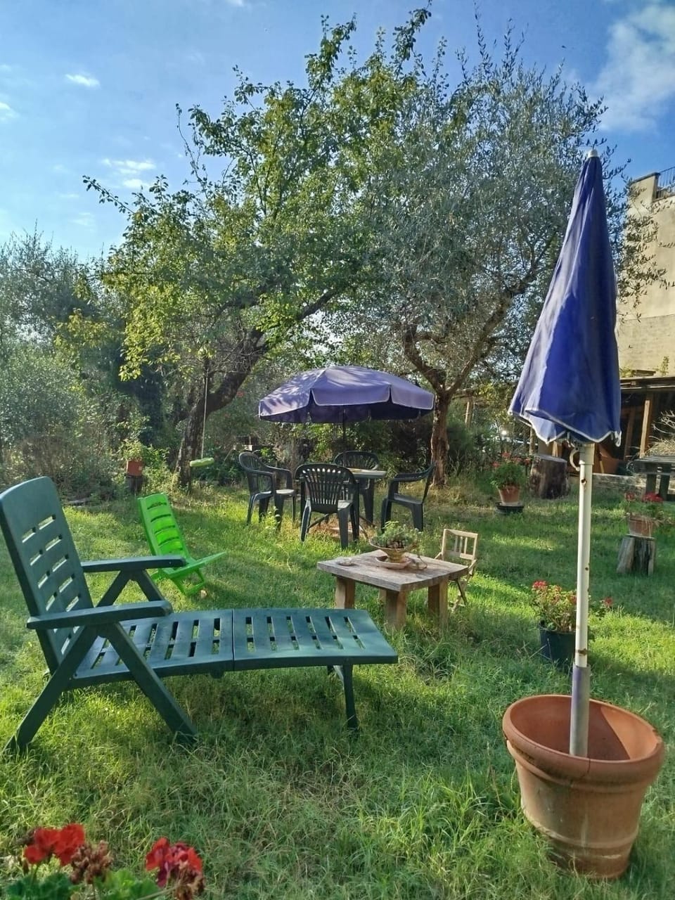 Day, Garden, Garden view