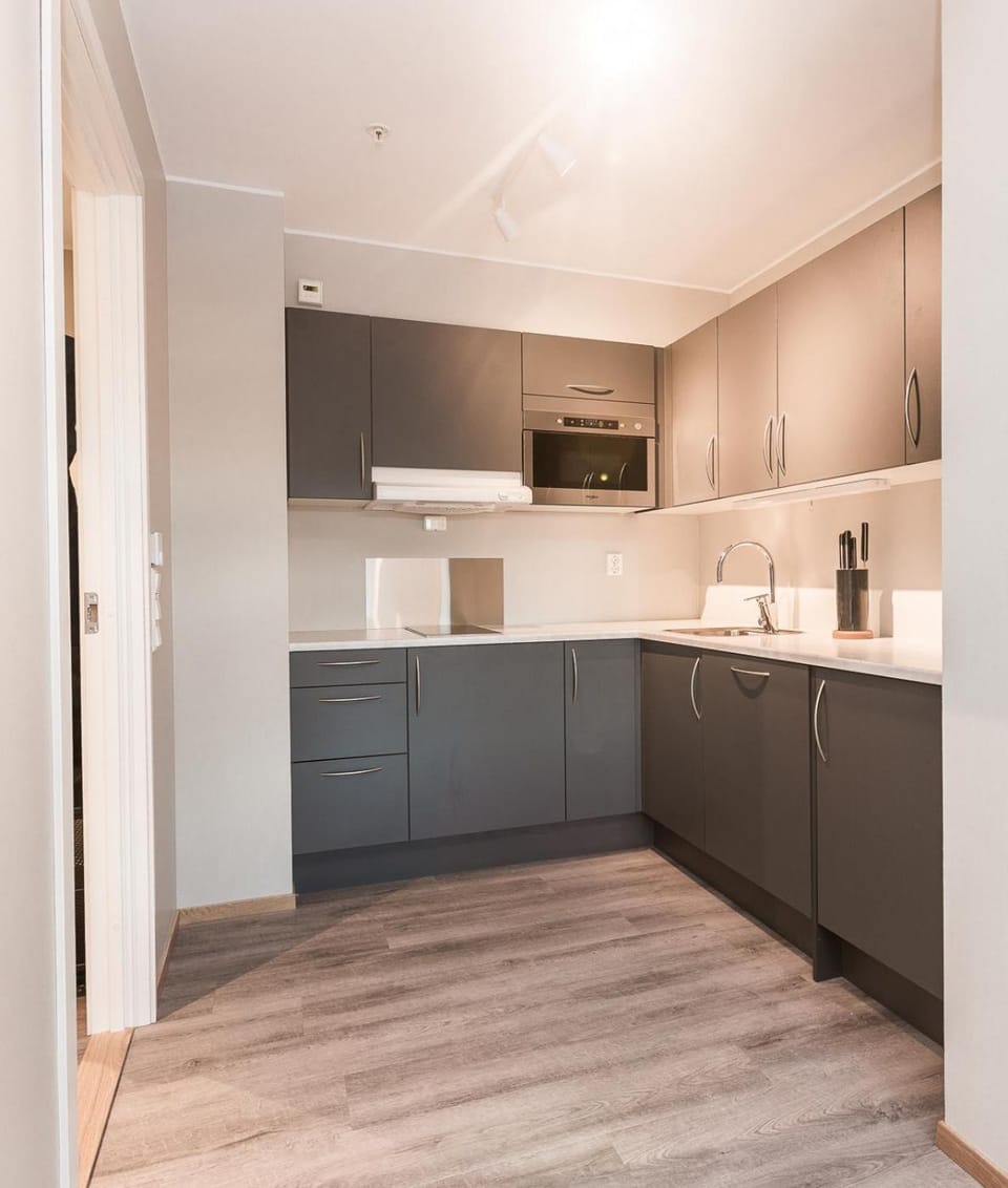 Kitchen or kitchenette