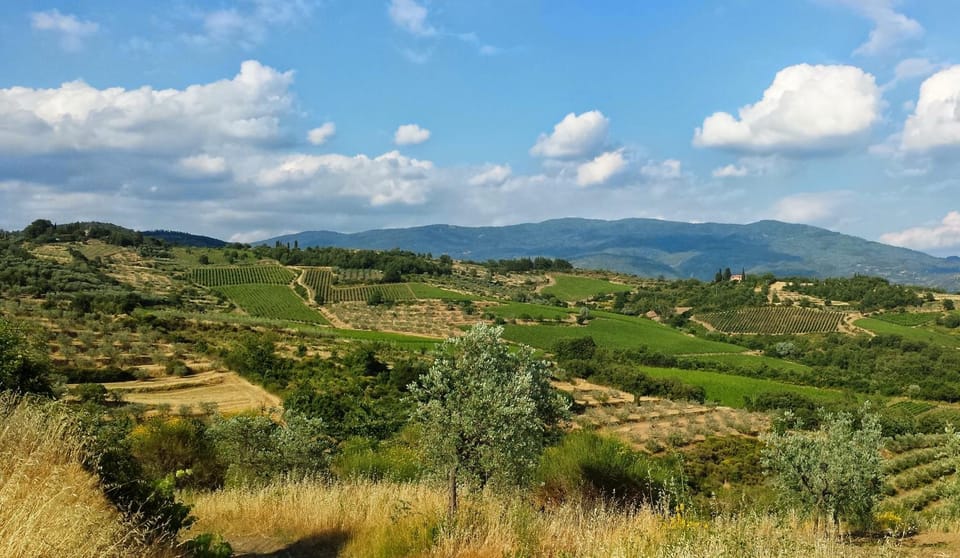 Natural landscape