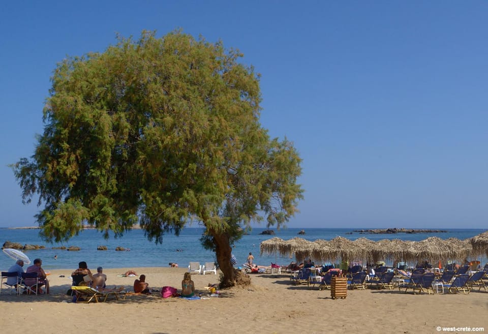 Neighbourhood, Beach