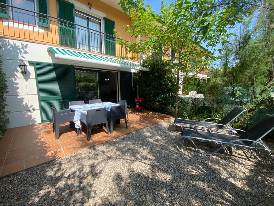 Patio, Day, Garden, sunbed