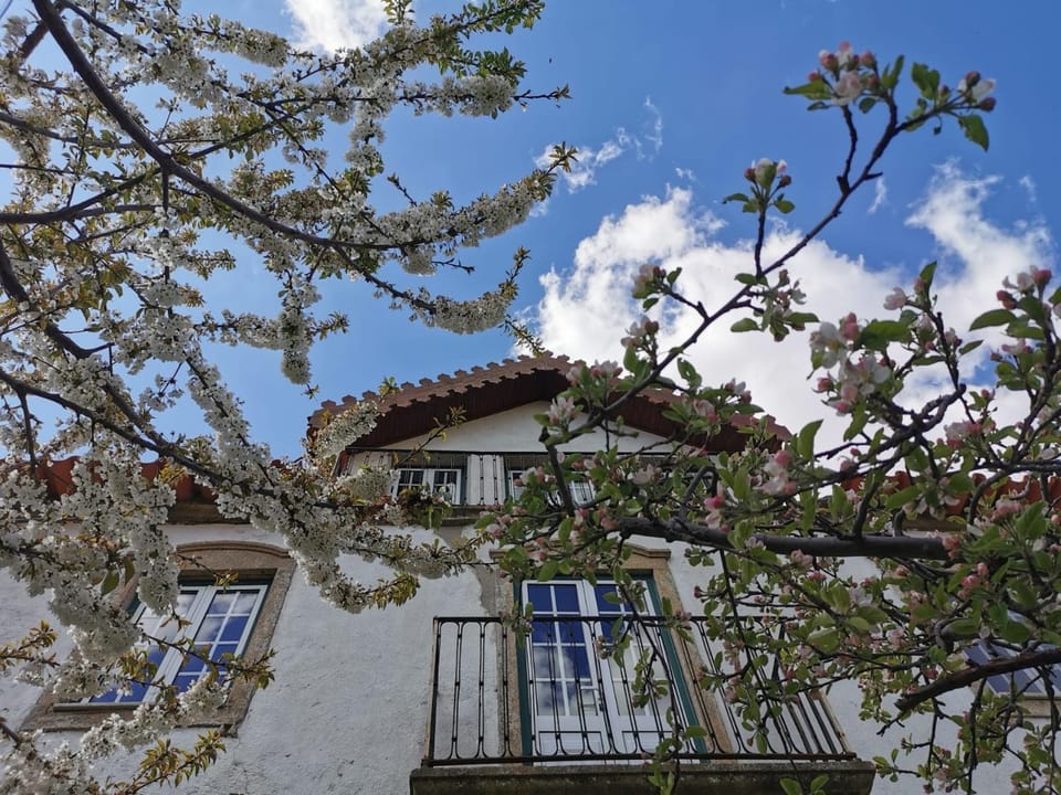 Casa das Quintas Bed and Breakfast in Castile and León